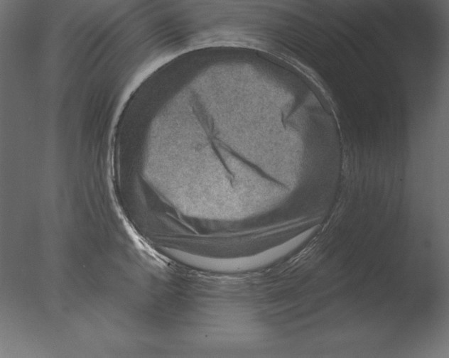 X0000076351144200610201753