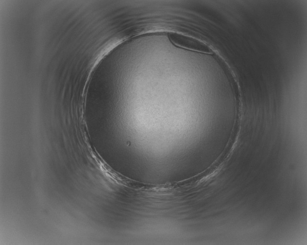 X0000076351145200610201753