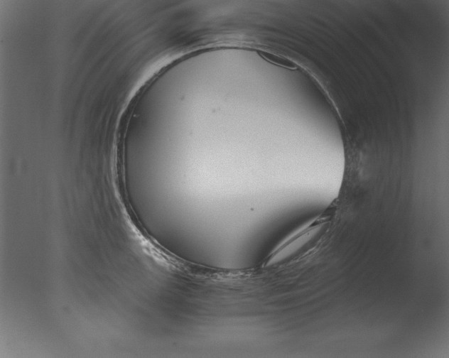 X0000076351147200610201753