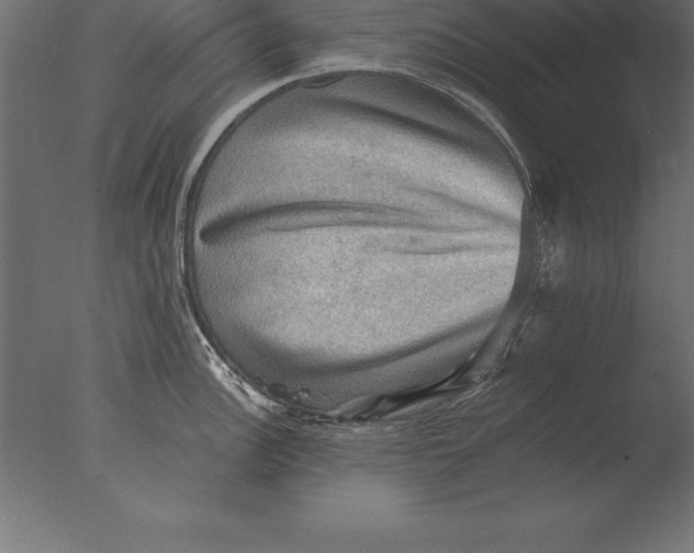 X0000076351148200610201753