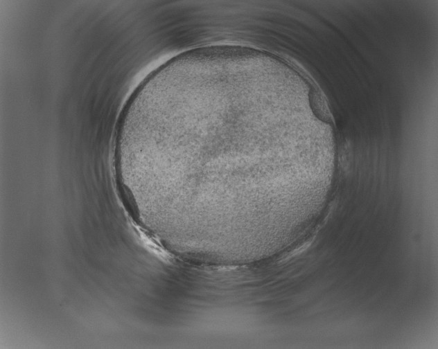 X0000076351149200610201753