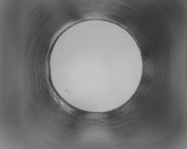 X0000076351150200610201753