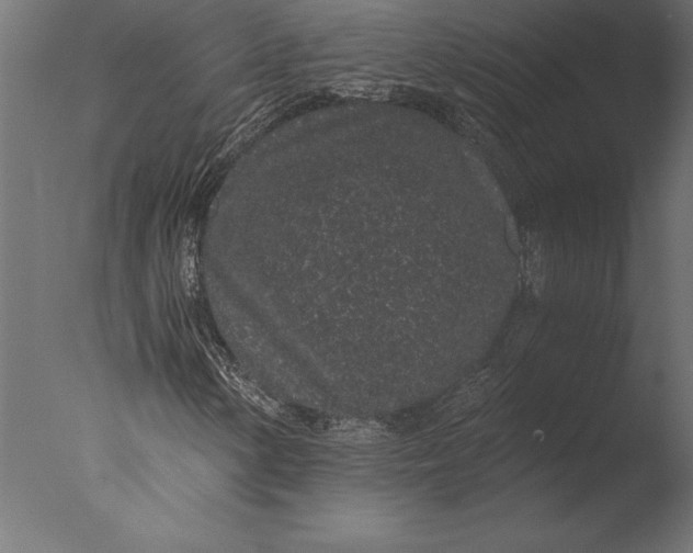 X0000076351154200610201753