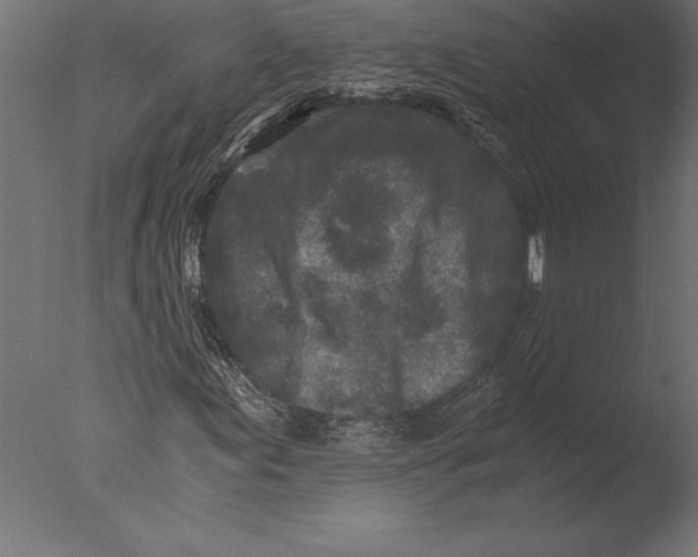 X0000076351155200610201753