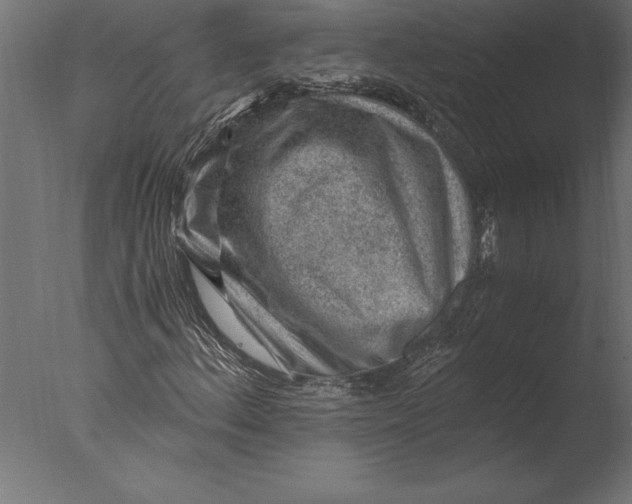 X0000076351156200610201753