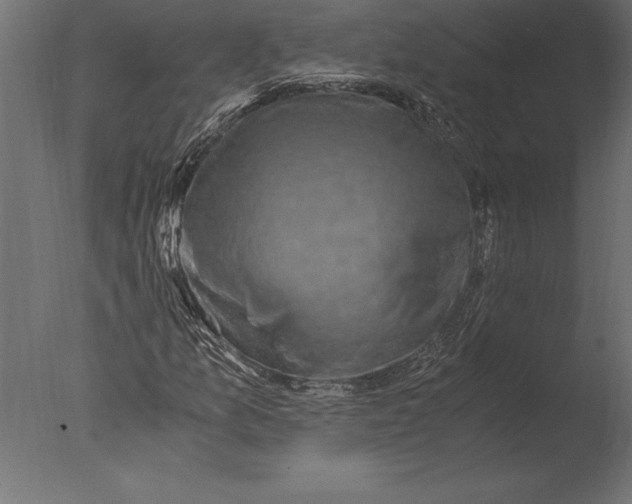 X0000076351157200610201753