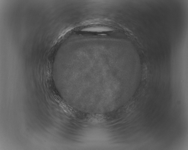 X0000076351158200610201753