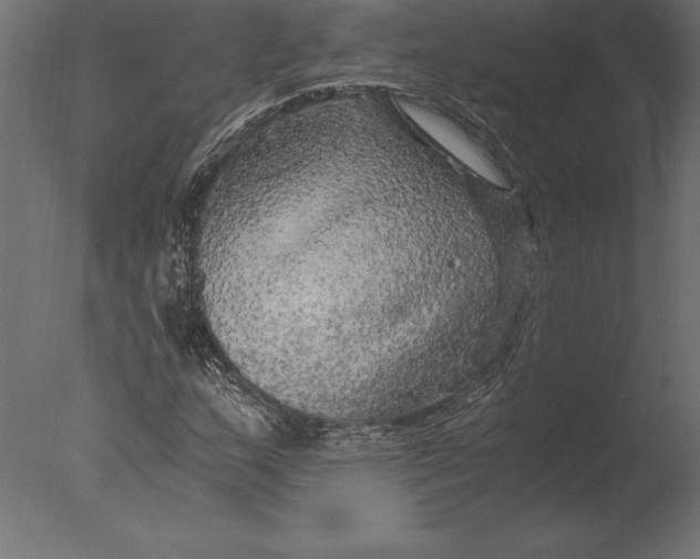 X0000076351159200610201753