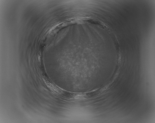 X0000076351161200610201753