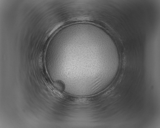 X0000076351162200610201753