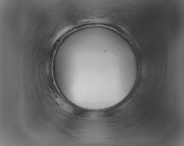 X0000076351163200610201753