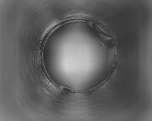 X0000076351164200610201752