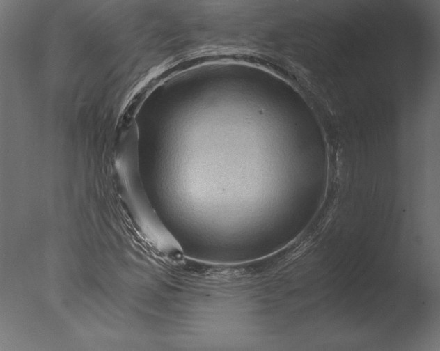 X0000076351165200610201752