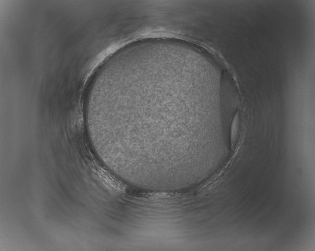 X0000076351167200610201752