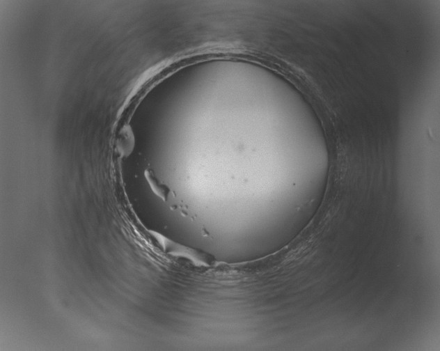 X0000076351168200610201752