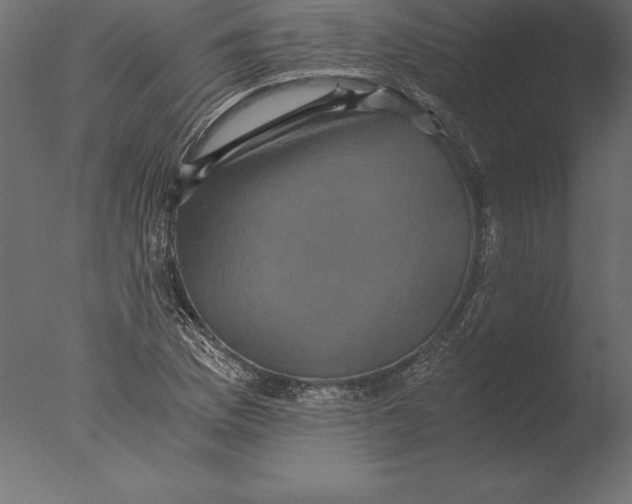 X0000076351169200610201752