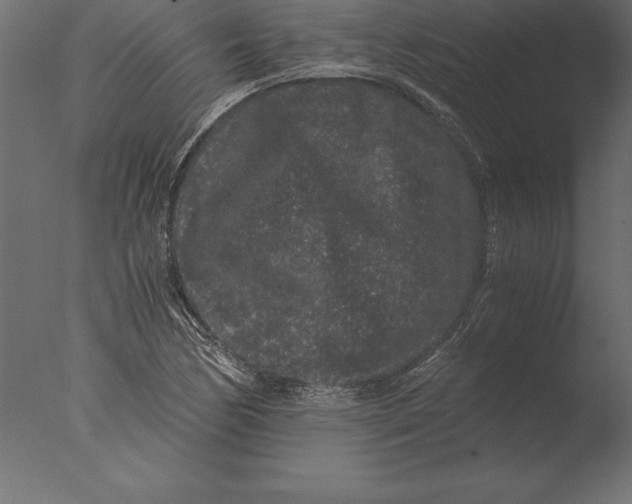 X0000076351170200610201752