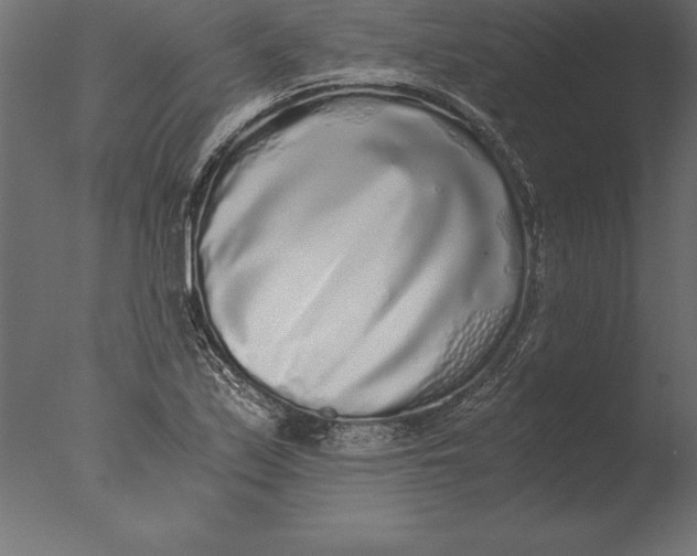 X0000076351171200610201752