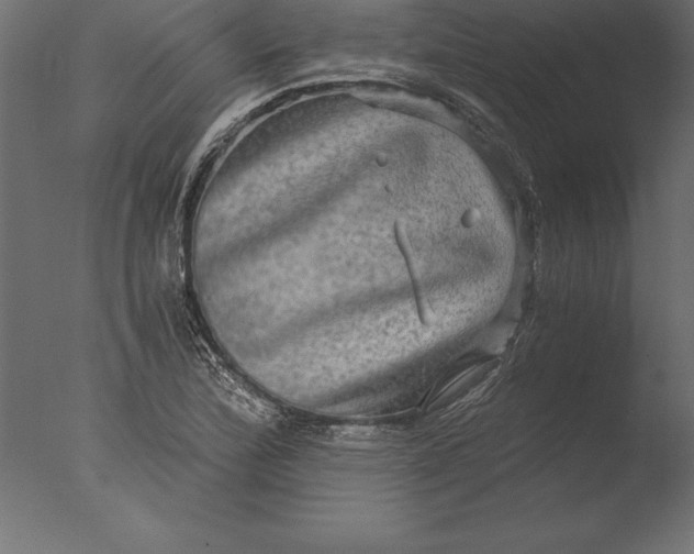 X0000076351172200610201752