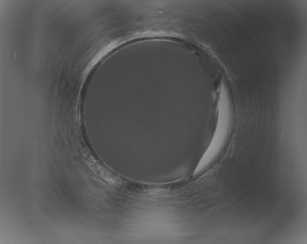 X0000076351173200610201752