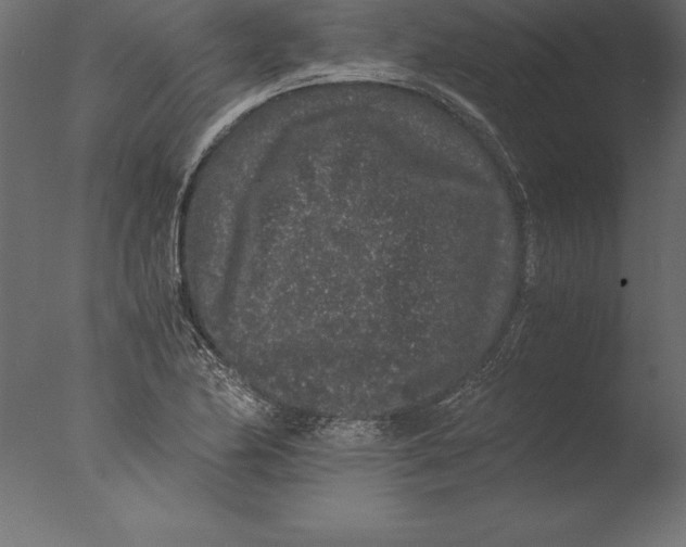 X0000076351174200610201752