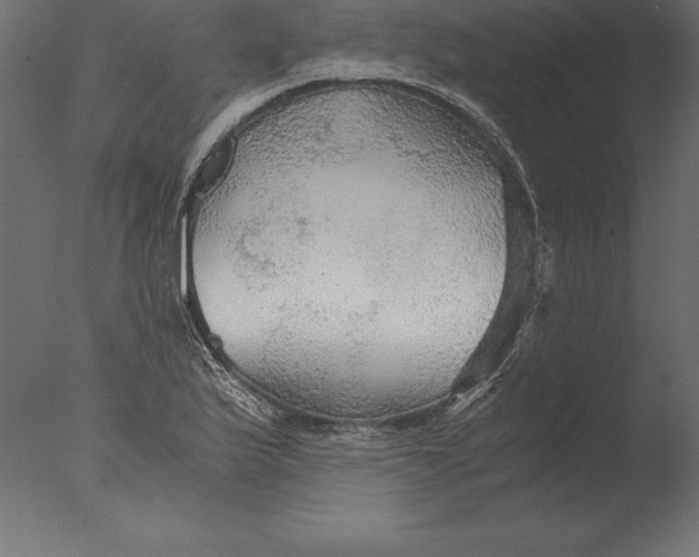 X0000076351175200610201752