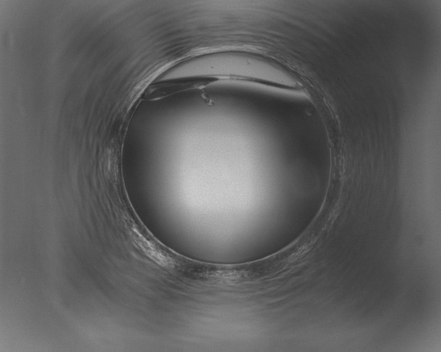 X0000076351177200610201752