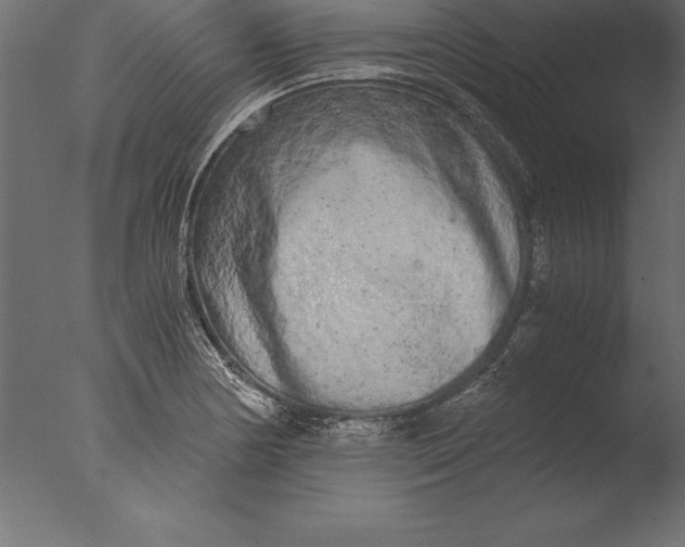 X0000076351178200610201752