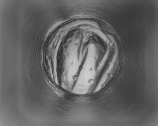 X0000076351179200610201752