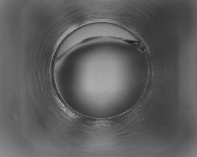 X0000076351181200610201752