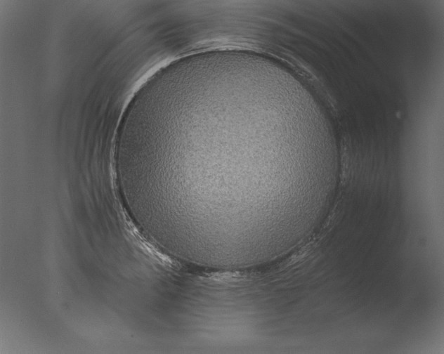 X0000076351182200610201752