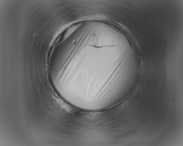 X0000076351184200610201752