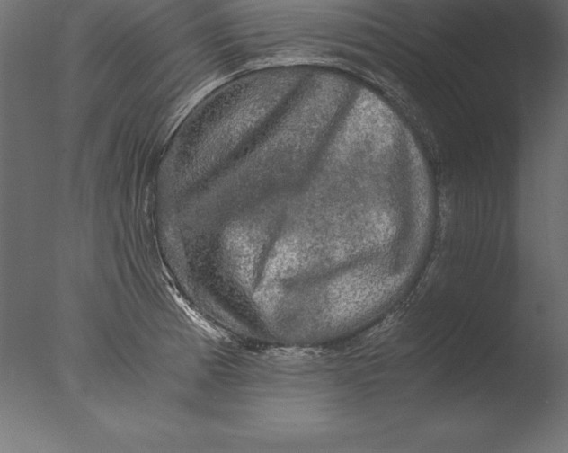 X0000076351185200610201752