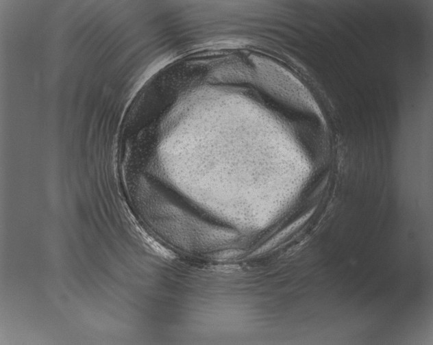 X0000076351186200610201752