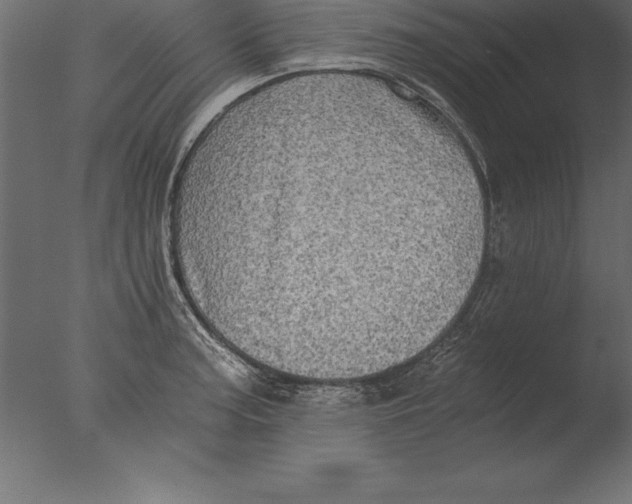 X0000076351187200610201752