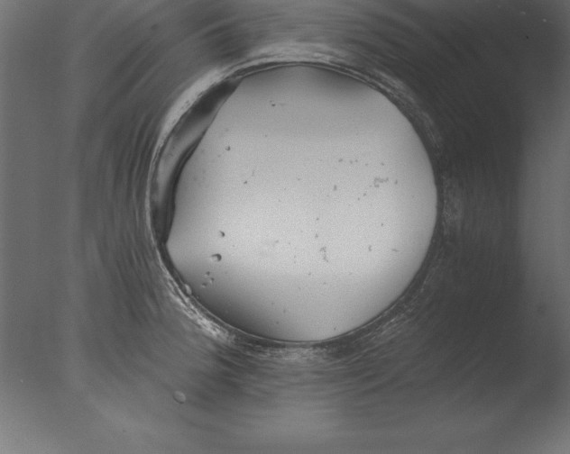 X0000076351188200610201752