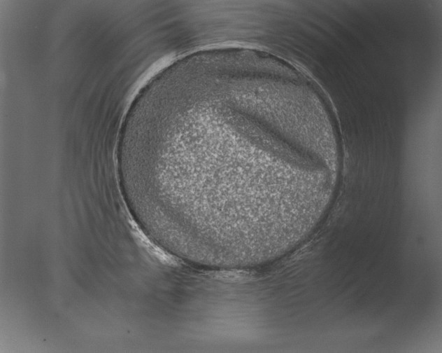 X0000076351189200610201752