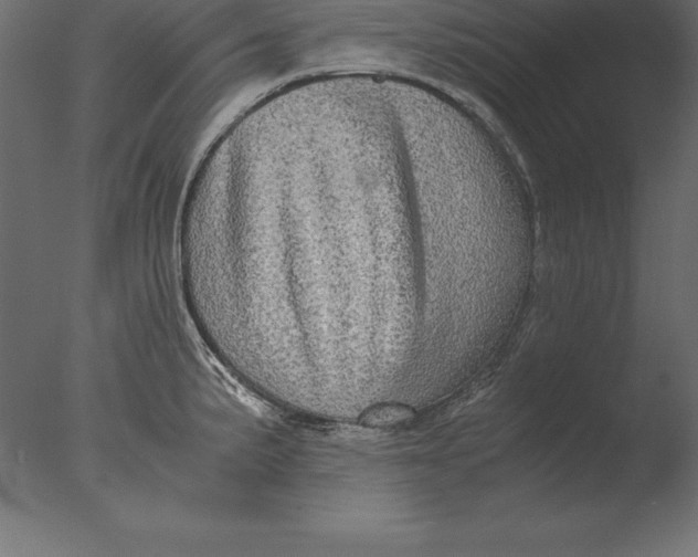 X0000076351191200610201752