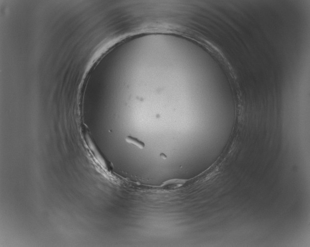 X0000076351192200610201752