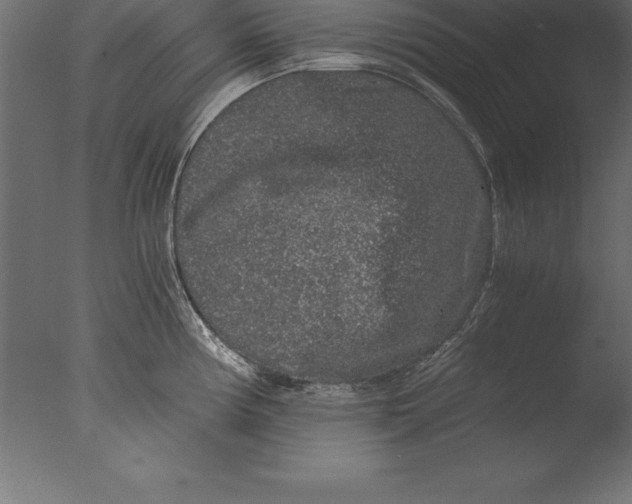 X0000076351194200610201752