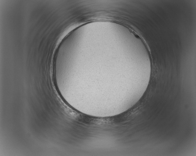 X0000076351195200610201752