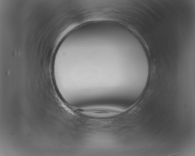 X0000076351197200610201752