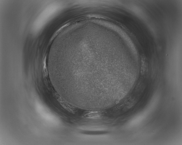 X0000076351198200610201752