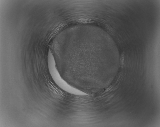 X0000076351202200610201751