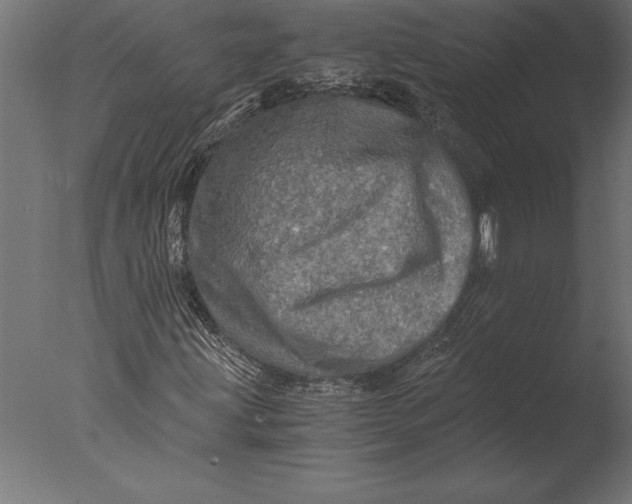 X0000076351203200610201751