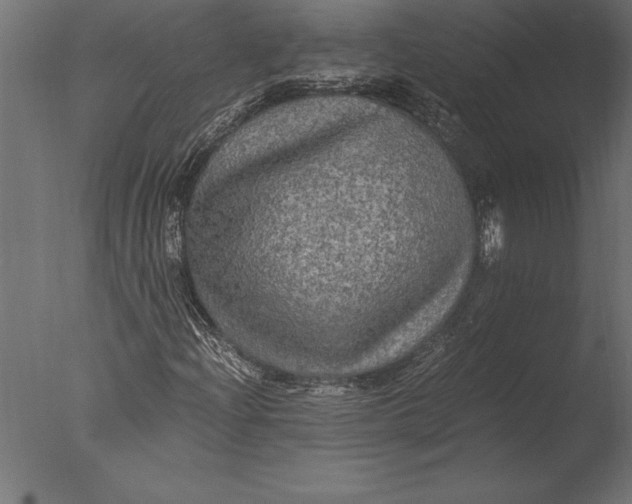 X0000076351204200610201751