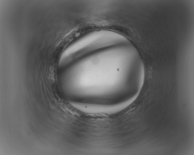 X0000076351205200610201751