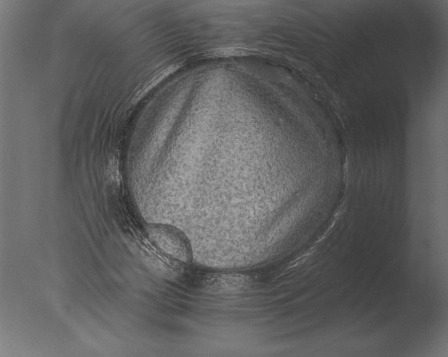 X0000076351209200610201751