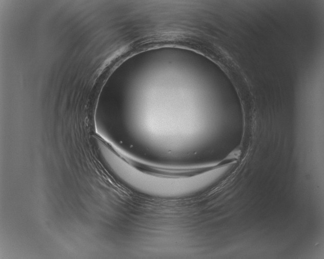 X0000076351210200610201751