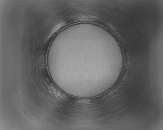 X0000076351211200610201751